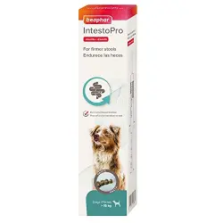 Beaphar IntestoPro pasta para perros