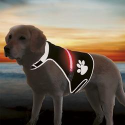 Chaleco para perros Flash con USB L