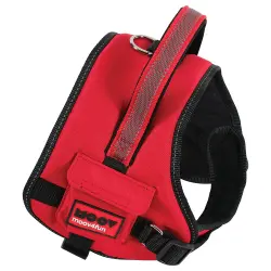 Zolux Moov Arnes Nylon L