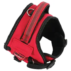 Zolux Moov Arnes Nylon M