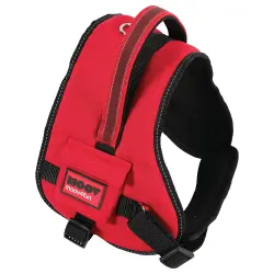 Zolux Moov Arnes Nylon XL