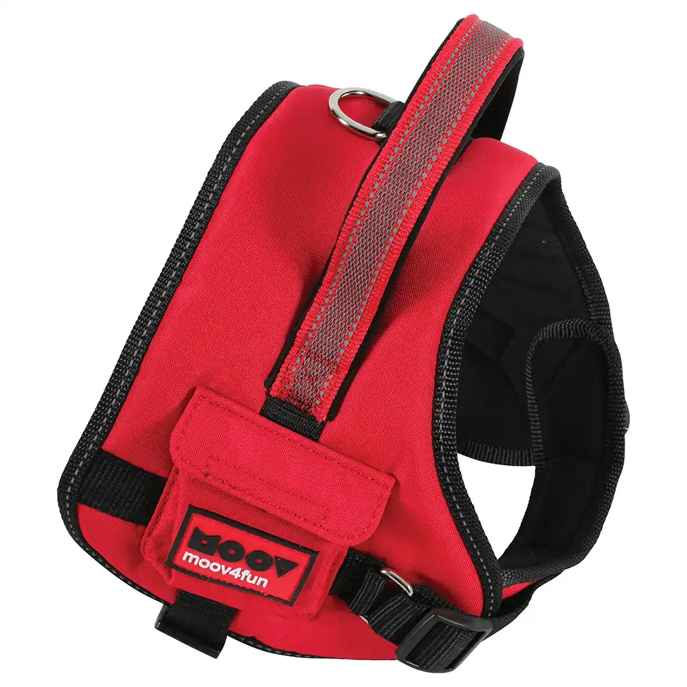 Zolux Moov Arnes Nylon L