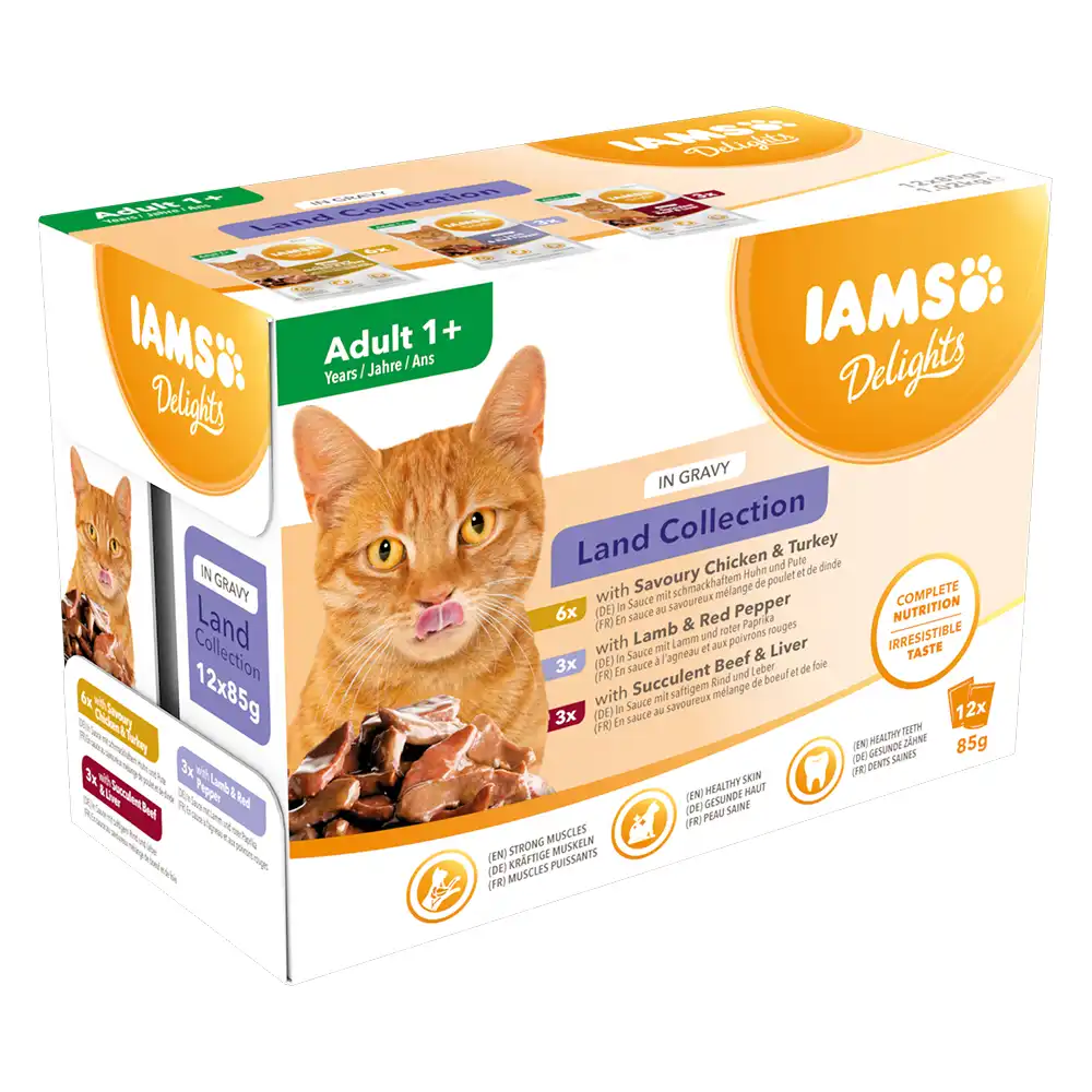IAMS Delights Adult en salsa - 24 x 85 g - Mezcla de la tierra