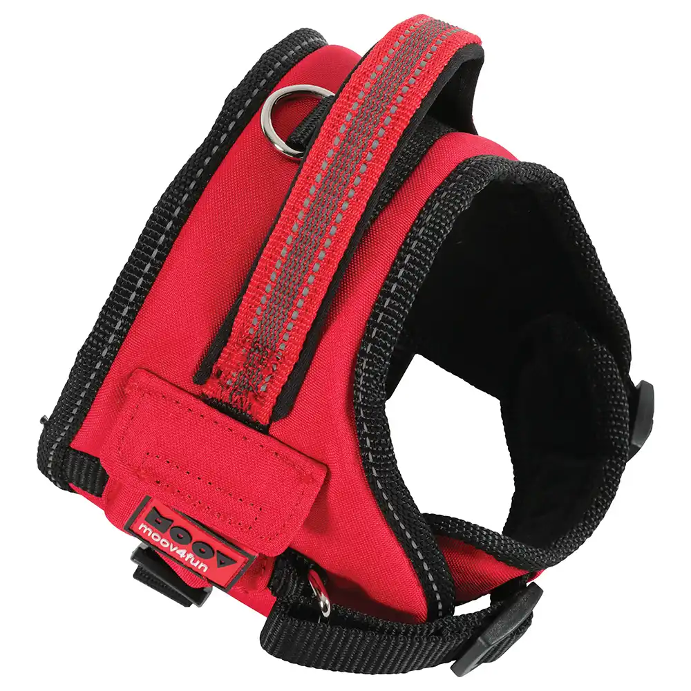 Zolux Moov Arnes Nylon M