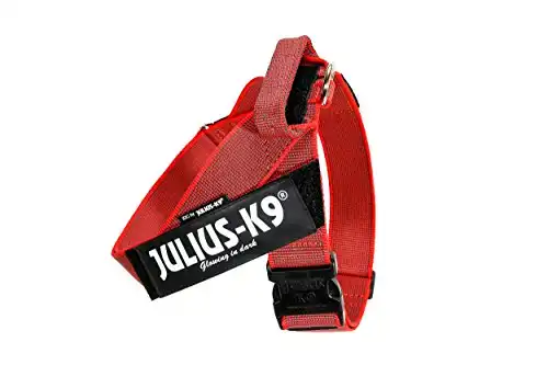 Arnés Color & Gray Julius K9 IDC rojo Talla 3