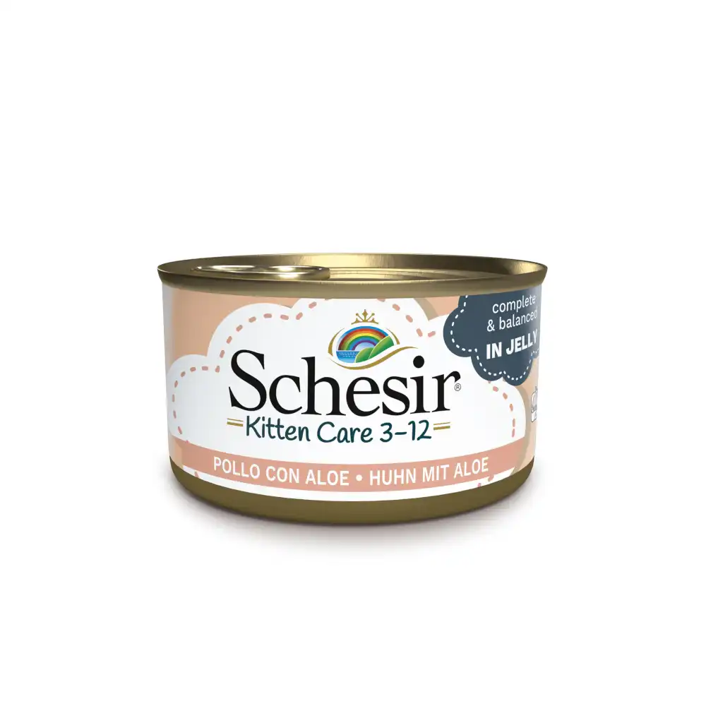 Schesir Kitten 6 x 85 g - Pollo con aloe vera