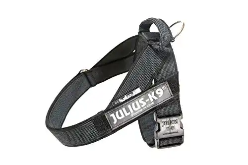 Arnés Color & Gray Julius K9 IDC negro Talla 3